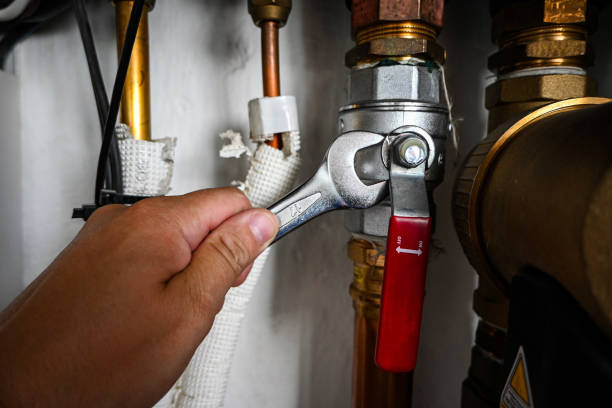 Best Local Plumber Services  in Fort Recovery, OH